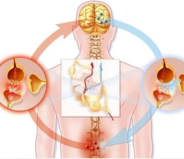 Χρόνιος νευροπαθητικός πόνος